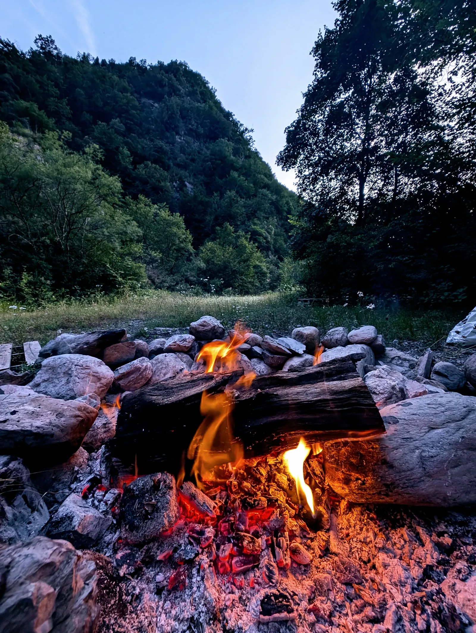 Feu de camp en forêt — Fire Adventure