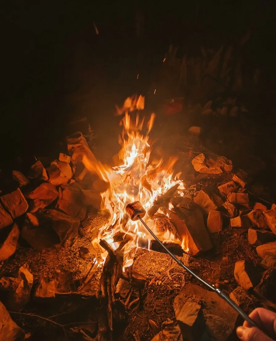 Bivouac Gastronomie